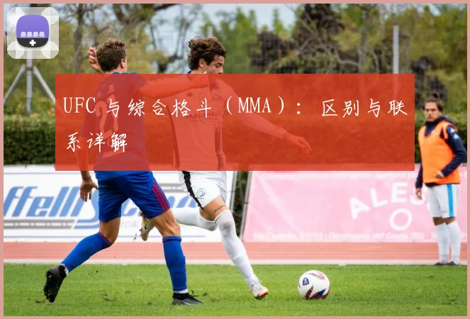 UFC 与综合格斗（MMA）：区别与联系详解