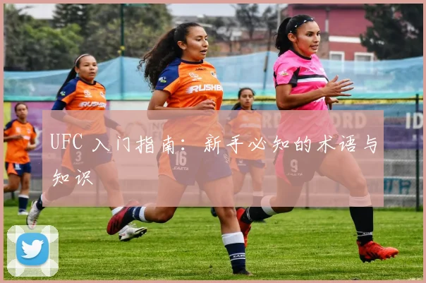 UFC 入门指南:新手必知的术语与知识