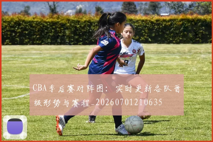 CBA季后赛对阵图:实时更新各队晋级形势与赛程_20260701210635
